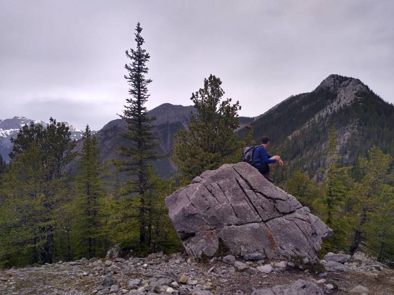 This image has an empty alt attribute; its file name is pjte7297-3.jpg